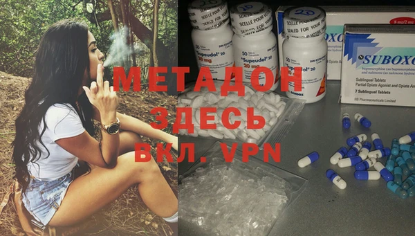 стафф Вязьма