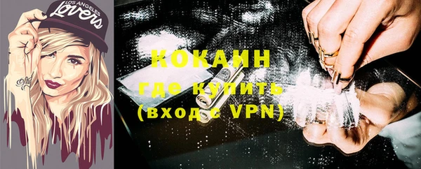 стафф Вязьма