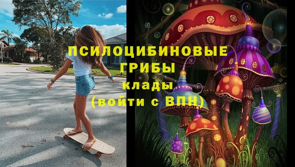 стафф Вязьма